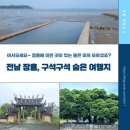 전남 장흥 숨은 여행지, 신의 드라마촬영지 삼산리후박나무 회진시외버스터미널 등 7곳