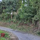 영인면 아산호로 이미지