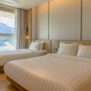 소노펠리체 델피노 이미지