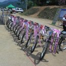 화성초등학교 이미지