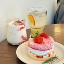 해화 | 대학로 카페 해화 대형카페 딸기 포레누아 리얼 찐 후기