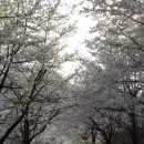 부귀리 마을회관 이미지