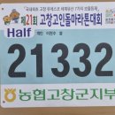 독경인 이부장 고창고인돌마라톤 하프 도전 후기(23.11.19)