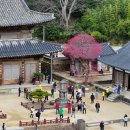 화엄사1로 이미지