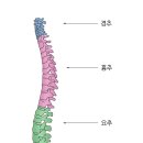 척주로 이미지