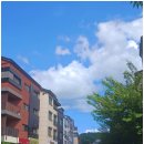 수원-1436 | 수원사주·광교사주 해인사주타로 | 남편 속마음까지 짚어준 궁합 상담 후기