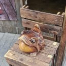 열린횟집 | 발산 횟집! 두꺼비숙성횟집 마곡직영점 솔직 방문 후기