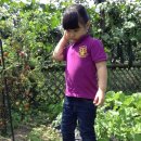 희연농장 이미지