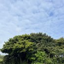 오조숙녀sea | [제주 성산 오조숙녀sea] 침대에 누워 성산일출봉 뷰를 볼 수 있는 깨끗한 숙소 추천