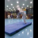 예준태권도