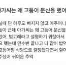 고등어아가씨 이미지