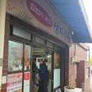 양지식당 | 서울 종로,동대문 양지식당 제육 백반 맛집 내돈내산 후기