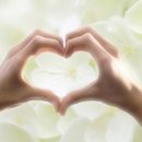 쉬즈산부인과의원 이미지