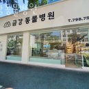 금강동물병원 | 용산구 이촌동 동물병원 금강동물병원 진료시간 접근성 이용후기