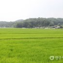 석남경로당 이미지