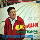 플래트 이미지