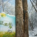 다래팜핑 이미지