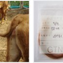 씨알목장 이미지