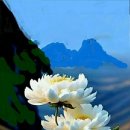 관계(關係)의공존( 이미지