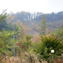 봉봉캠핑장 이미지