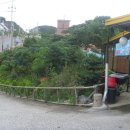 라이브구이 이미지