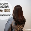 아비스헤어