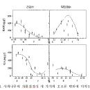 사과나무재배-효과적인 하계전정 방법 이미지