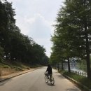 비오스도터