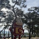오하스 | [고성] 리조트 안에 있는 오하스 베이커리카페 설악비치점 후기
