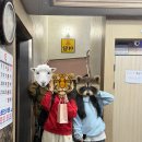 쉐레이 암반수사우나 이미지