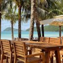 뉴월드카 이미지