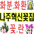휴베이글로벌