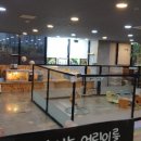 미어캣인더시티 이미지
