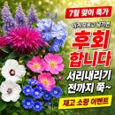 고양대로1432번길 네이버블로그