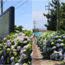 안덕면행정복지센터 이미지