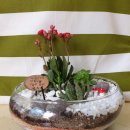 전주덕일초등학교 이미지