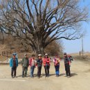 볼음도길 이미지