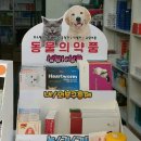 다인동물약국 이미지