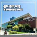 세계무술박물관 | 충북 충주 실내 가볼만한곳 세계무술박물관 시원한 여름 여행