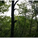 오저1리 이미지