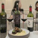 강국농장 | 트리니타스 7기 비냐 콘차이토로 서포터즈 발대식 후기