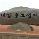 중고등부 성지순례 고창 개갑장터 이미지