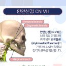 대동한의원 이미지