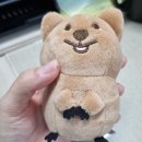 내친구카 이미지