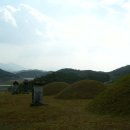 김극뉴 묘역 Daum카페
