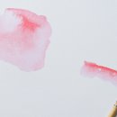 영양햇빛발전소 | : [충격!] 부산 요양원 24시 풀HD 밀착취재! 어르신들의 진짜 행복, 지금 바로 확인하세요! (feat. 텃밭...