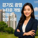 뉴동일공인중개사사무소 | 경기도 광명 뉴타운 개발현황과 향후 시세 전망