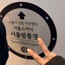 월드스카이 | [서울 데이트 추천] 롯데월드타워 전망대(서울스카이) 후기11월 야경, 포토존 완전 정리