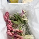 디어올리 | 플로리스트 나혜선 X 밀머스, 리부케 창업 컨설팅 수업 수강 후기