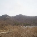 외입석 이미지